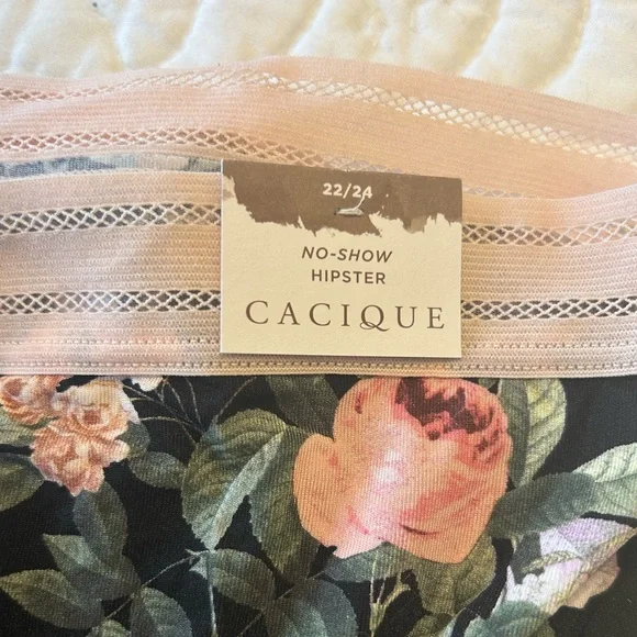 NWT Two 22/24 Lane Bryant Cacique Cotton Hipsters - Picture 4 of 4